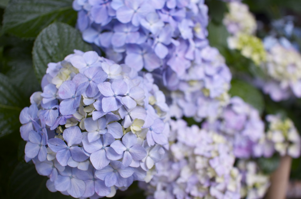 f:id:chinvattera:20120617210721j:image:w640