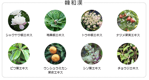 f:id:chioo:20190213165343p:plain