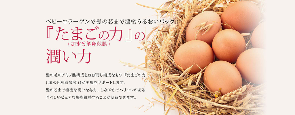 f:id:chioo:20190228161835j:plain