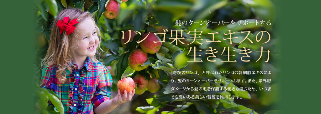 f:id:chioo:20190228162201j:plain