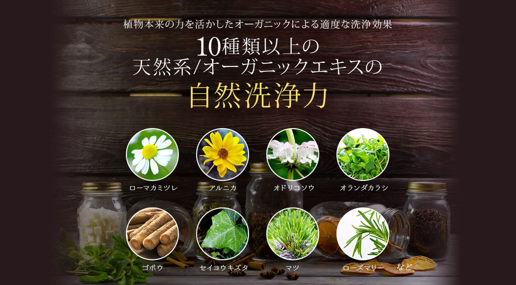 f:id:chioo:20190228164004j:plain