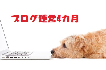f:id:chip39:20190501065758j:plain