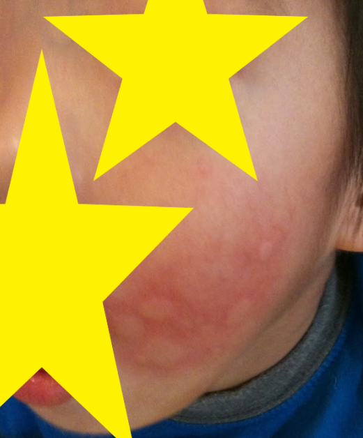 f:id:chip39:20190815171011p:plain