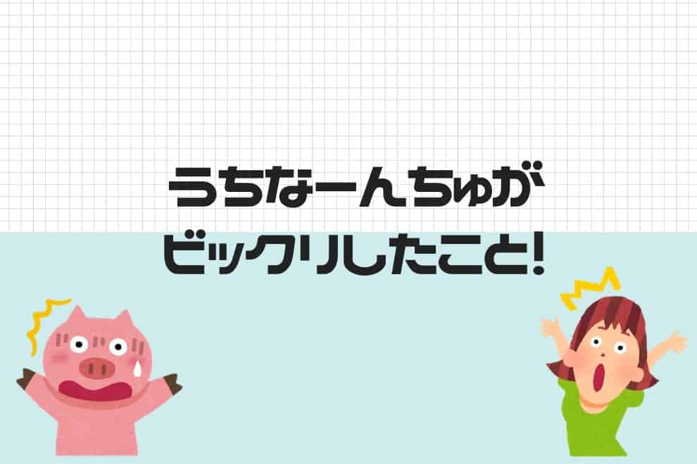 沖縄県民が驚いた 本土と習慣の違いでビックリしたことをまとめてみた 貧乏サラリーマンの雑記ブログ