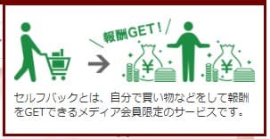 f:id:chip39:20210130181355j:plain