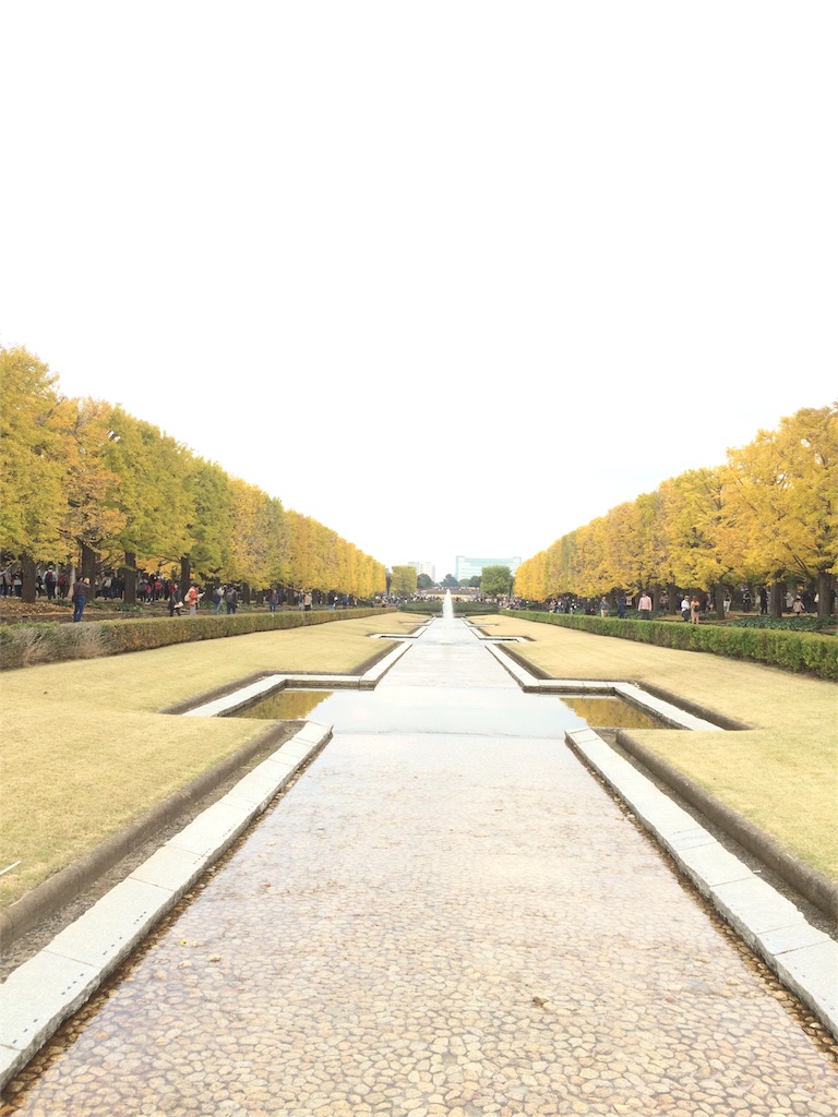 昭和記念公園　イチョウ