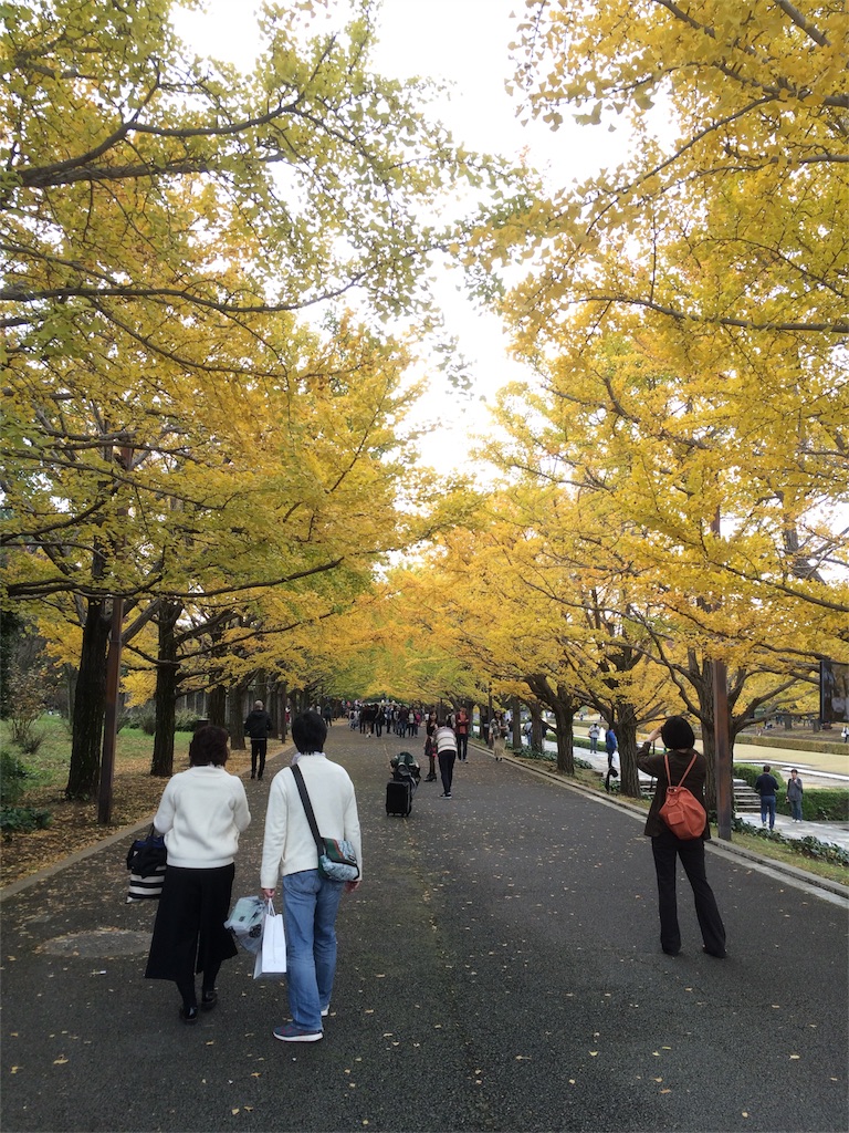 昭和記念公園　イチョウの並木道