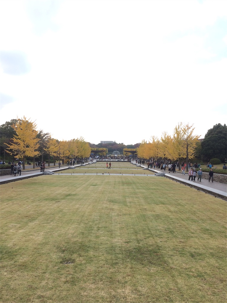 昭和記念公園　イチョウ　並木道