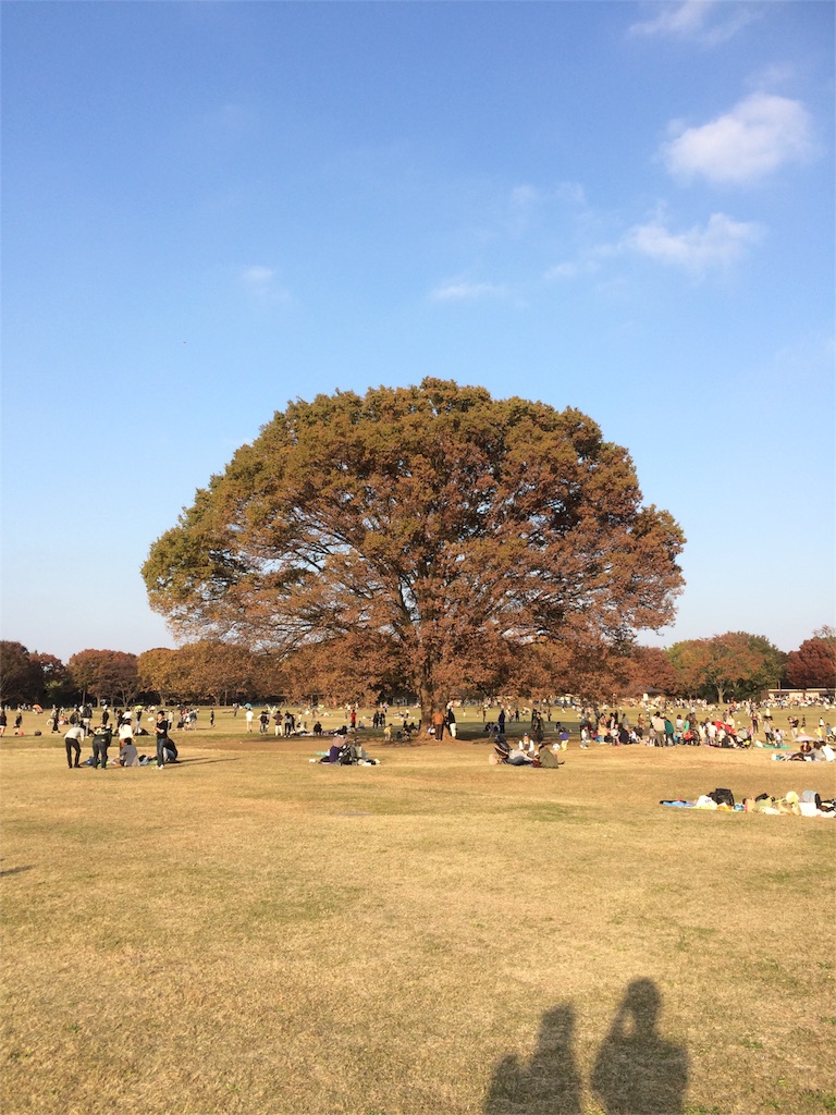 昭和記念公園　この木何の木