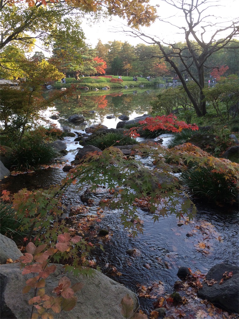 昭和記念公園　水辺２