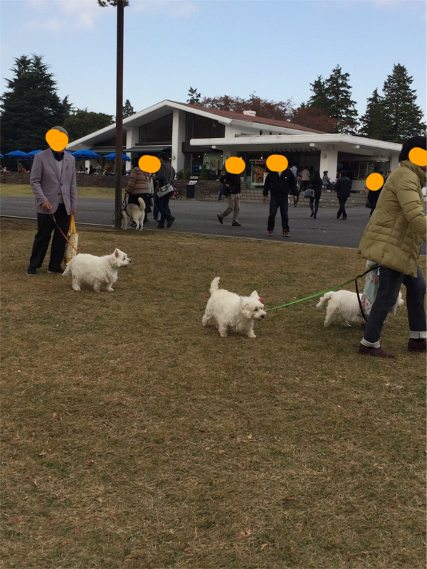 昭和記念公園　犬