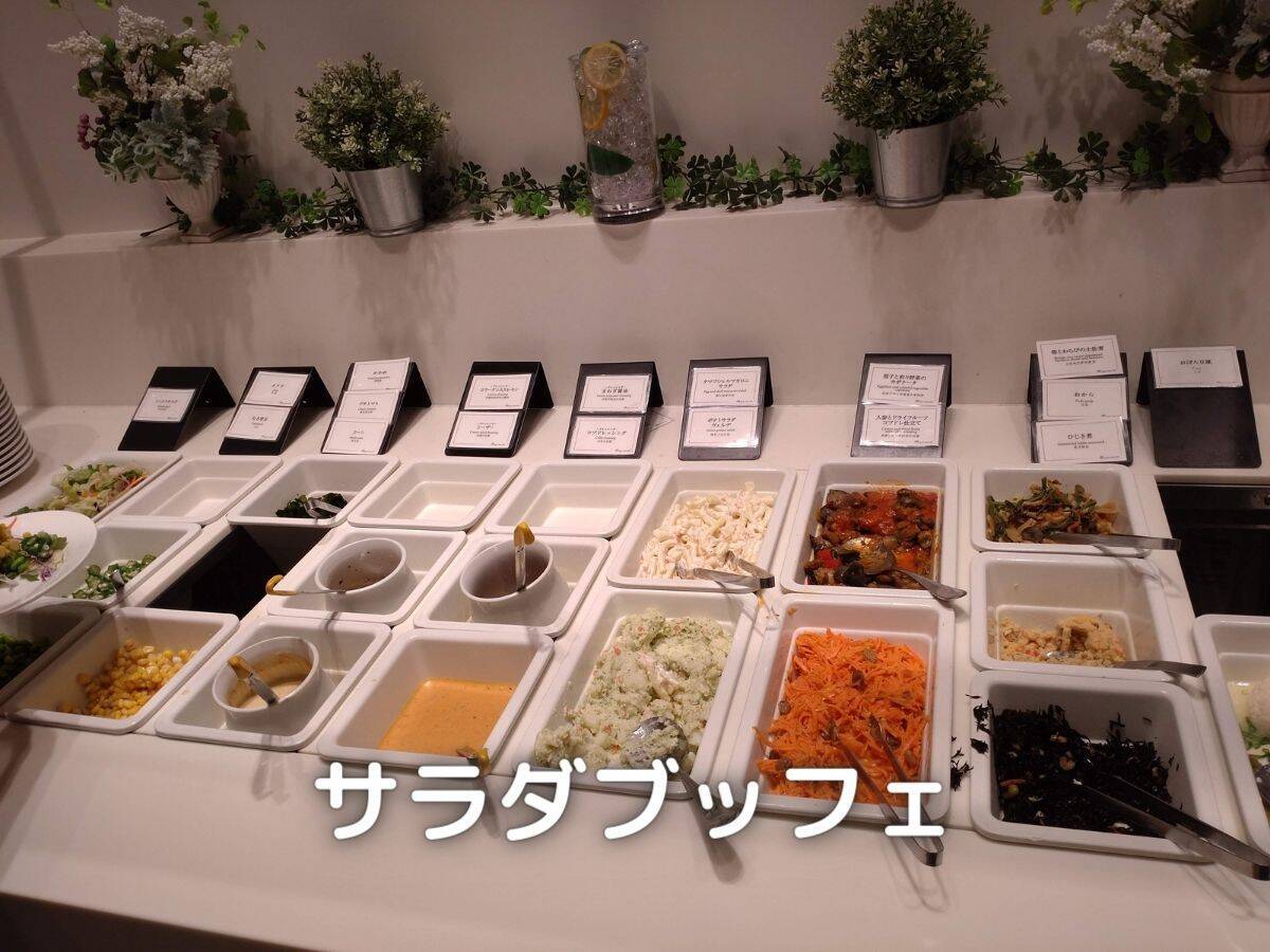 豊富な種類のサラダが用意されています。最初に食べる料理なので、ここが微妙だとガッカリします。