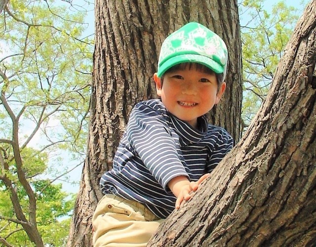 f:id:chipa34:20171121175841j:plain f:id:chipa34:20171121175841j:plain