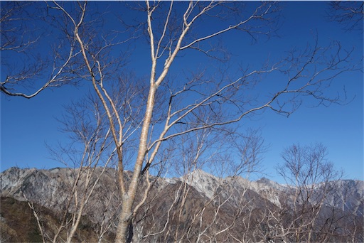 f:id:chipaca21:20181026184207j:image