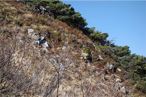 f:id:chipaca21:20181026184312j:image