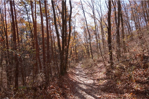 f:id:chipaca21:20181204213913j:image