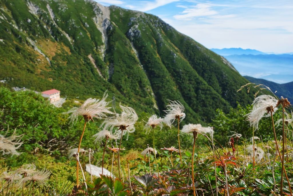 f:id:chipaca21:20210917210859j:plain