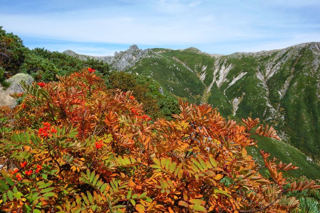 f:id:chipaca21:20210917213444j:plain