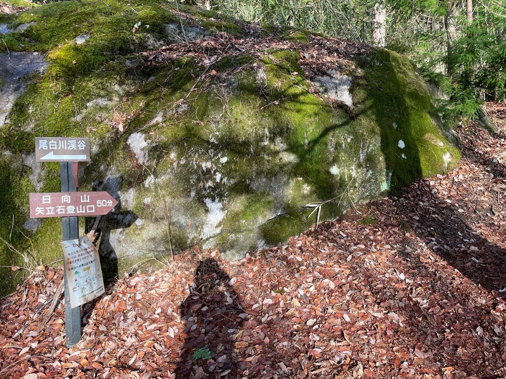 f:id:chipaca21:20220326162204j:plain