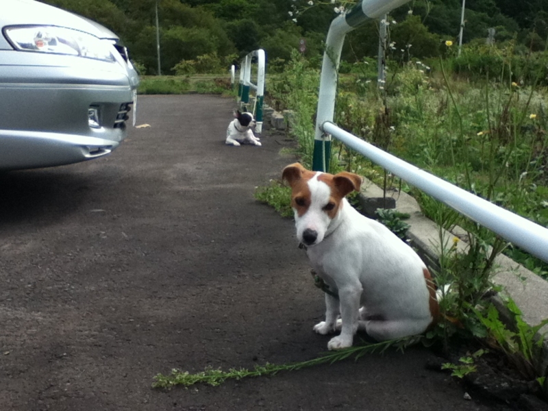 f:id:chipapa3:20110911100405j:image:w360:left