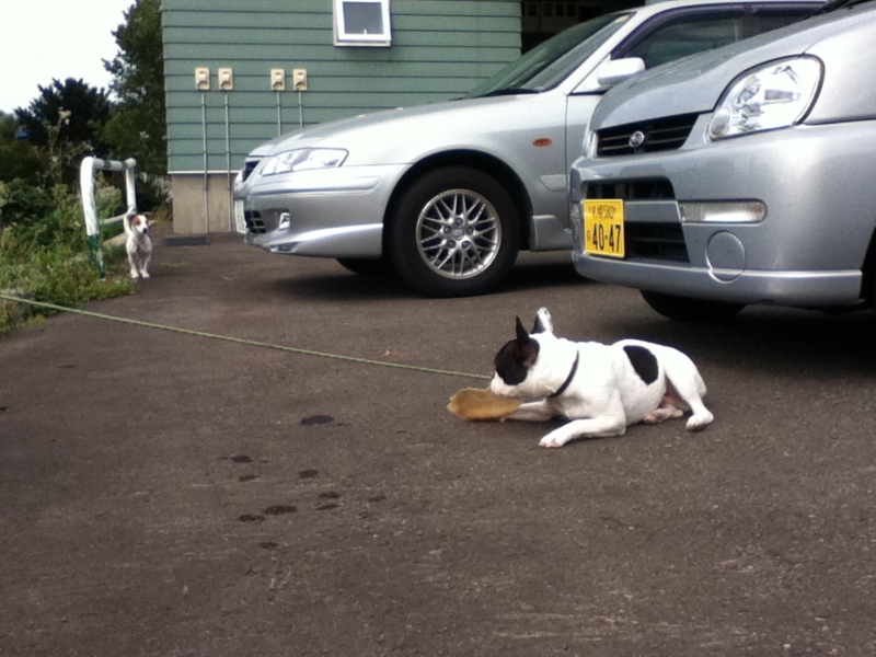 f:id:chipapa3:20110911100450j:image:w360:left