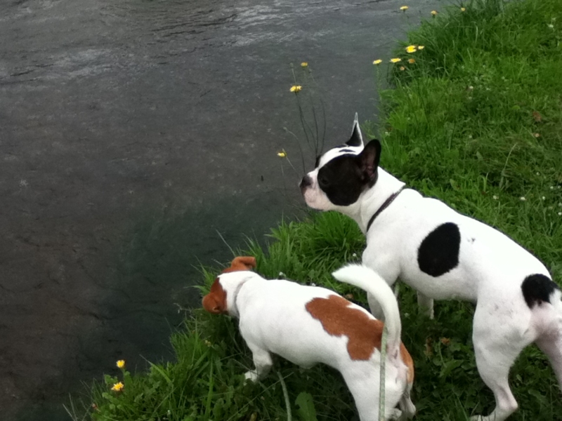 f:id:chipapa3:20110911150122j:image:w360:left