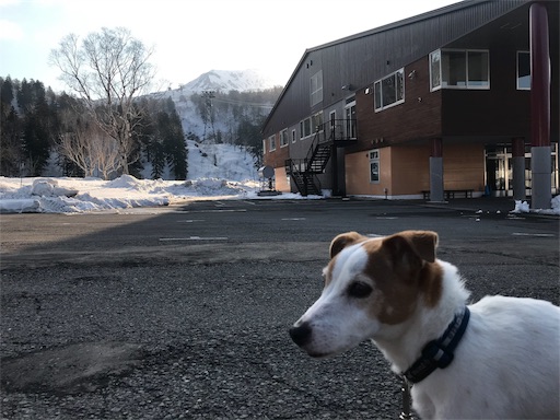 f:id:chipapa3:20190430120306j:image