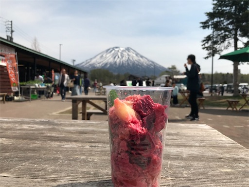f:id:chipapa3:20190511102328j:image