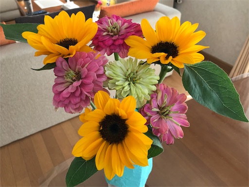 f:id:chipapa3:20190521164219j:image