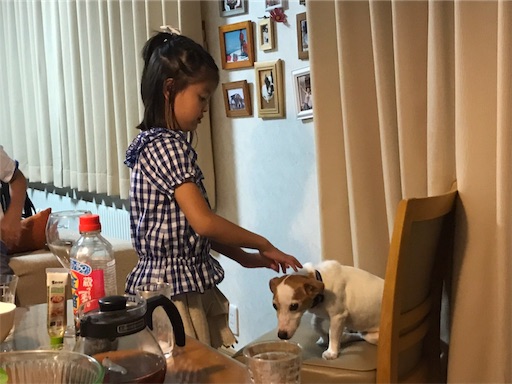 f:id:chipapa3:20190701094207j:image