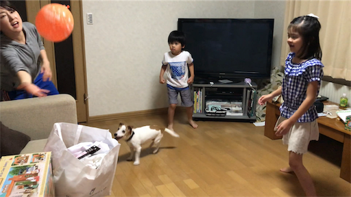 f:id:chipapa3:20190730104459p:image