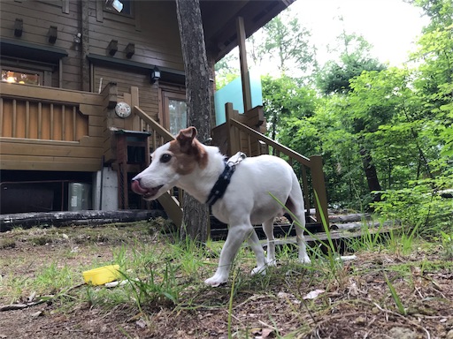 f:id:chipapa3:20190730111946j:image