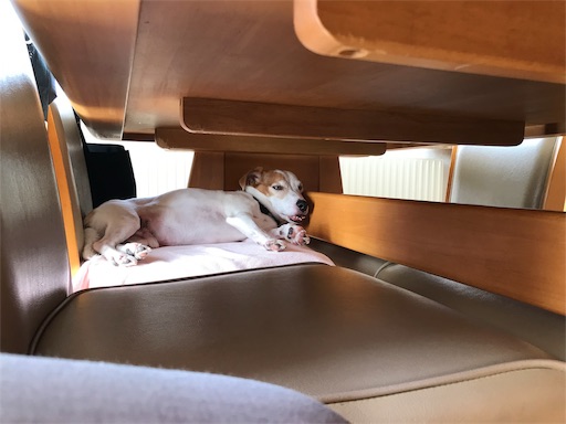 f:id:chipapa3:20190731084952j:image