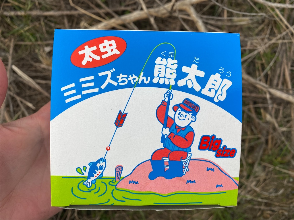 f:id:chipfish:20210312231241j:image