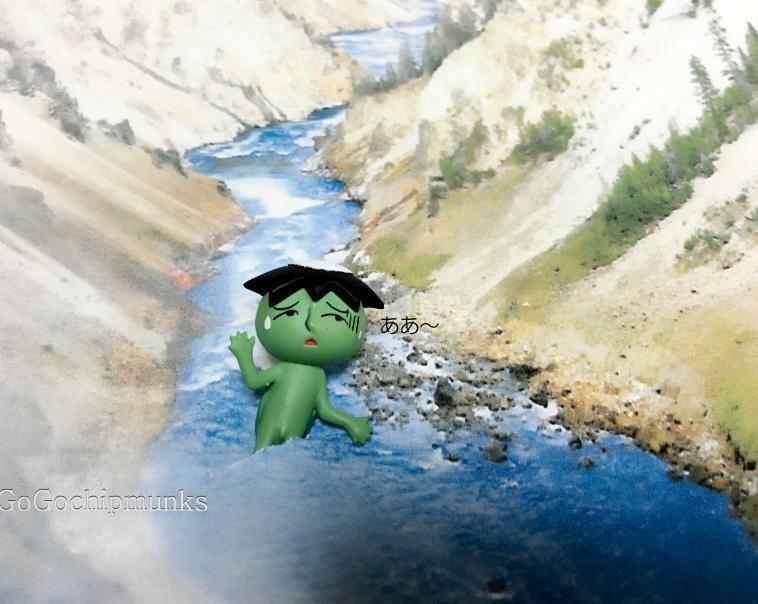 ガチャの動物でことわざを表現してみた うさぎ リス 犬に猫 ハグルのリーメントミニチュアブログ