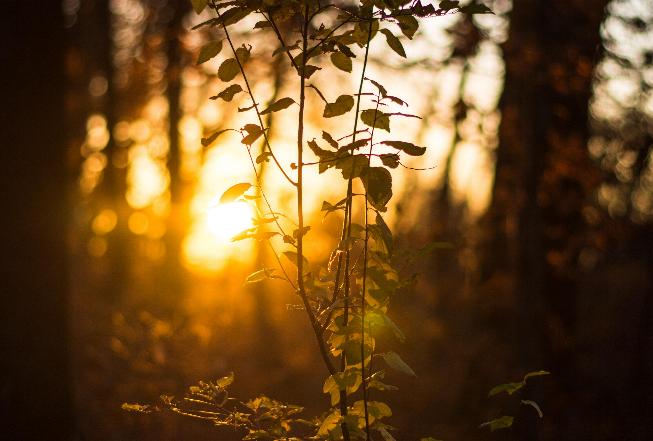 f:id:chipmunksmau:20190502122519j:plain