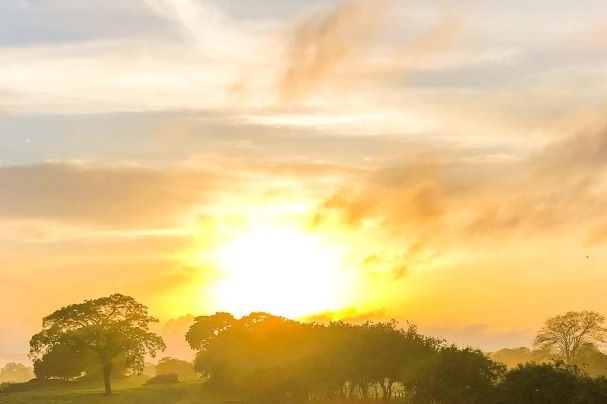 f:id:chipmunksmau:20190808211131j:plain