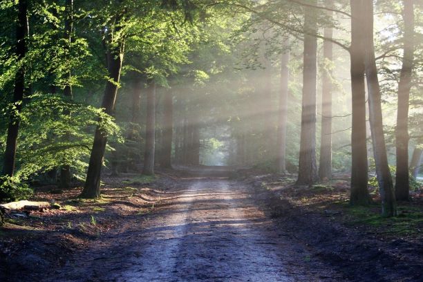 f:id:chipmunksmau:20191112232325j:plain