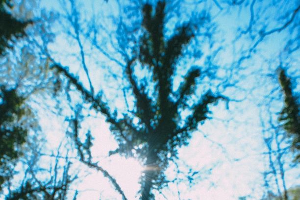 f:id:chipmunksmau:20191220163415j:plain f:id:chipmunksmau:20191220163415j:plain