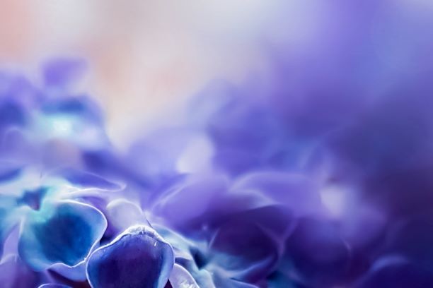 パープル レイン Purple Rainをカタカナで歌ってみよう プリンス ハグルの洋楽カラオケ カタカナの歌詞で簡単に歌える
