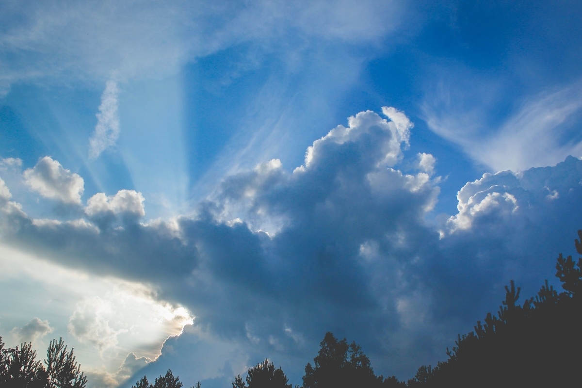 f:id:chipmunksmau:20200503204844j:plain