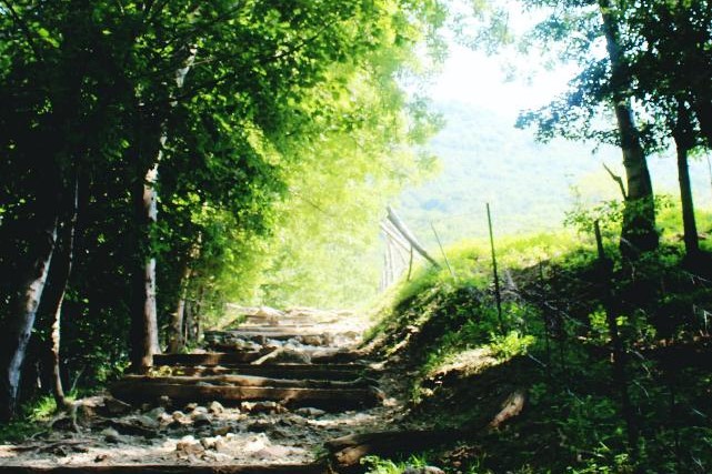 f:id:chipmunksmau:20200727113436j:plain