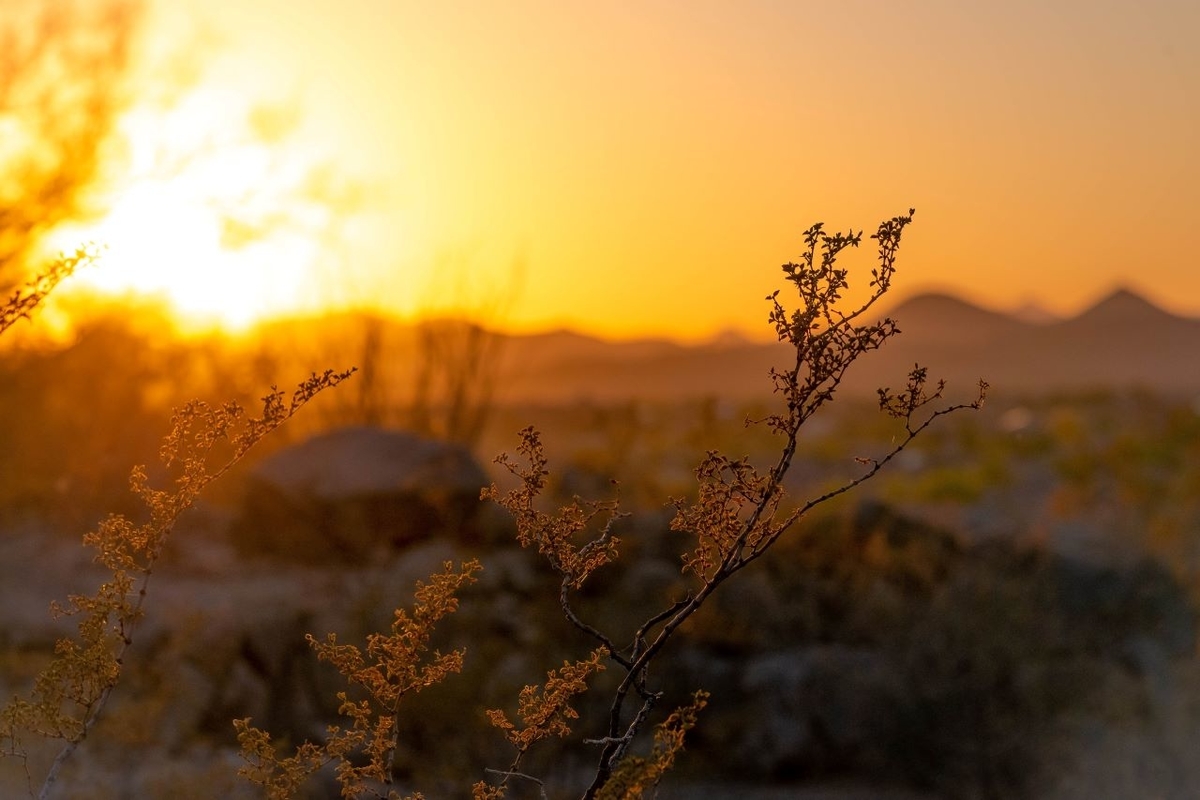 What A Friend We Have In Jesus いつくしみ深き をカタカナで歌ってみよう ハグルの洋楽カラオケ カタカナの歌詞 で簡単に歌える