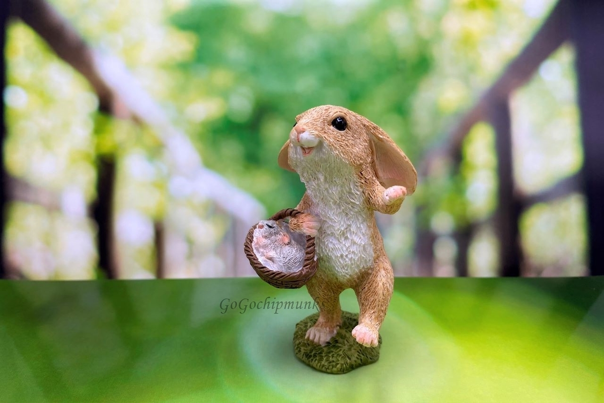 f:id:chipmunksmau:20201009112919j:plain f:id:chipmunksmau:20201009112919j:plain
