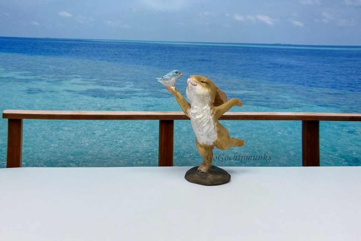 f:id:chipmunksmau:20201009113250j:plain f:id:chipmunksmau:20201009113250j:plain