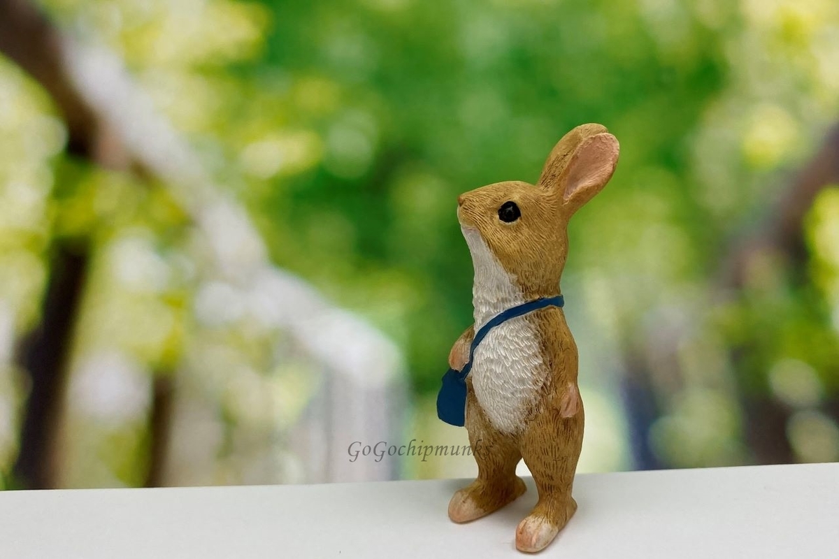 f:id:chipmunksmau:20201009113603j:plain f:id:chipmunksmau:20201009113603j:plain