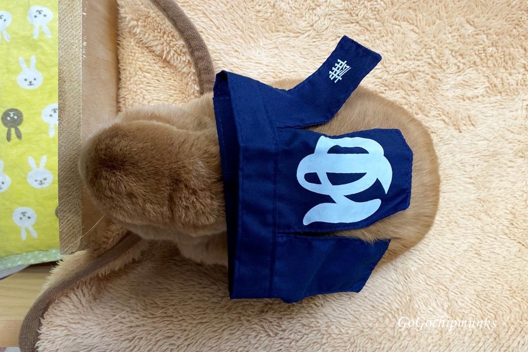 f:id:chipmunksmau:20201111115228j:plain f:id:chipmunksmau:20201111115228j:plain