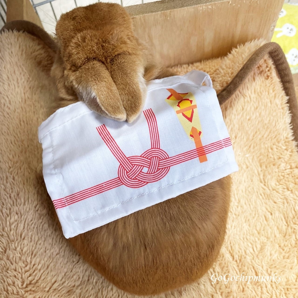 f:id:chipmunksmau:20201111115329j:plain f:id:chipmunksmau:20201111115329j:plain