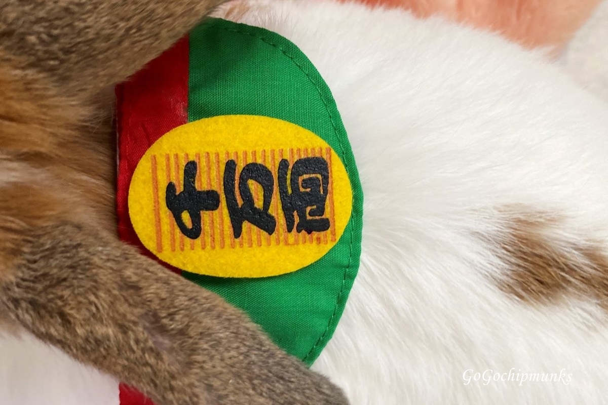 f:id:chipmunksmau:20201111115347j:plain f:id:chipmunksmau:20201111115347j:plain