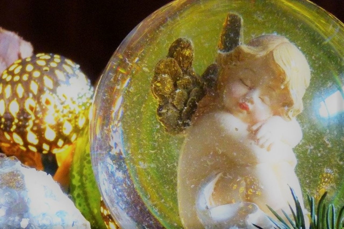 f:id:chipmunksmau:20210212164734j:plain